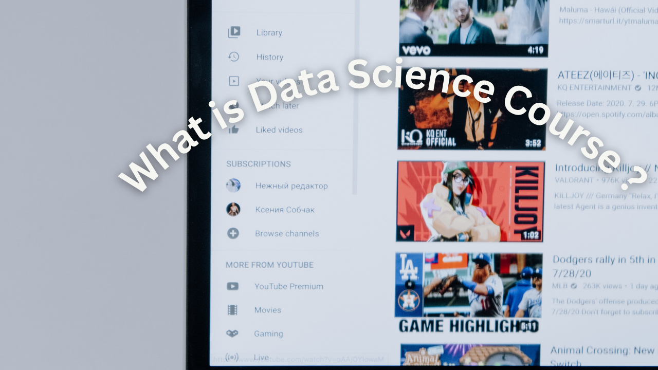 What is Data Science Course ?